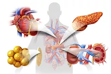 علاج مرض التمثيل الغذائي- 5 عادات افعلها في الصباح للشفاء     