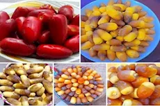 البلح الأحمر والأصفر.. طبيب يوضح فوائدهما على الجسم وأيهما أفضل؟