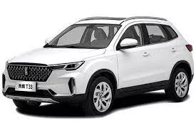 فاو BESTUNE T33