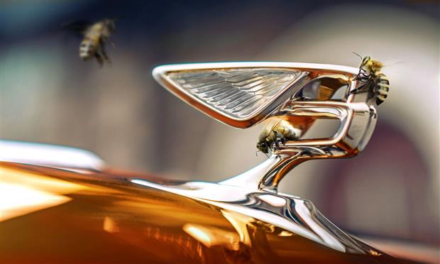 Flying Bees (HERO)_1