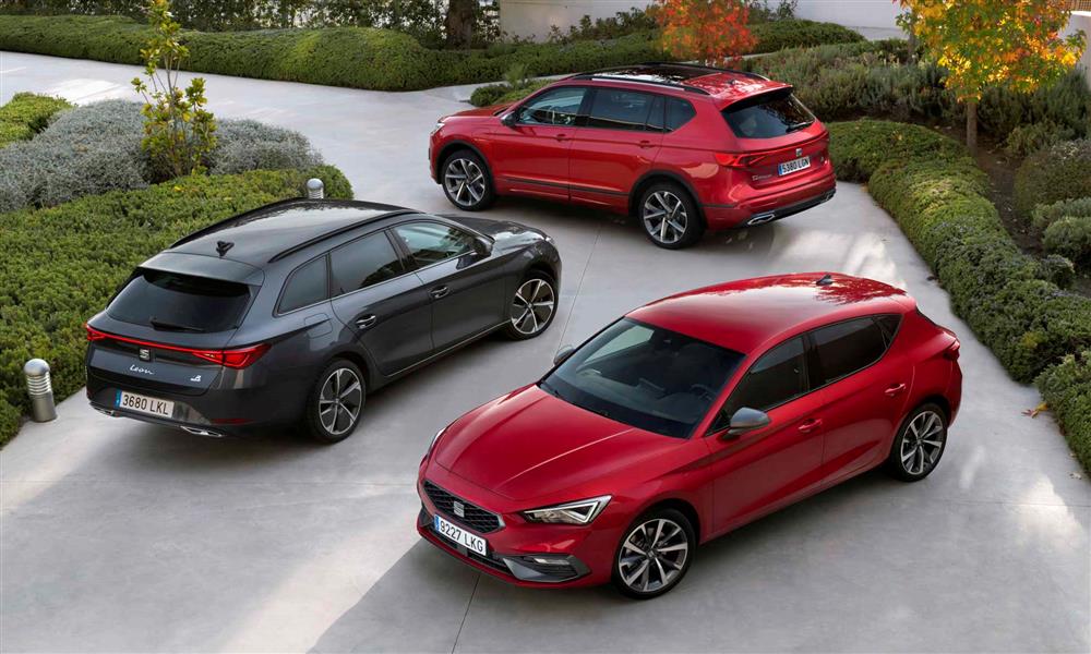 سيات تاراكو الهجينة  (7)