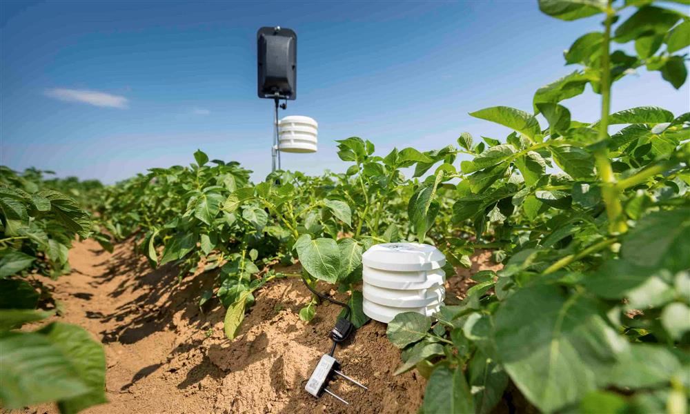 بوش ConnectedWorld 2020