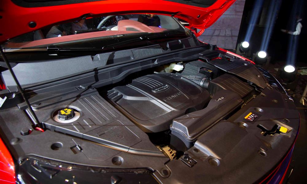 جيلي كول راي 