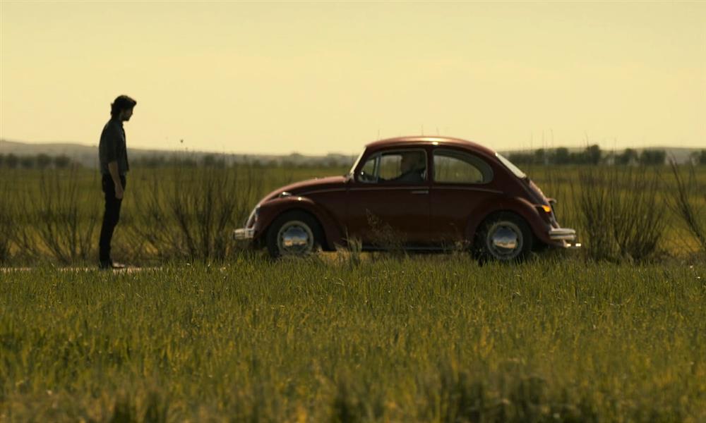 البروفيسور يستعين بفولكس فاجن بيتل  خنفساء  للوصول إلى بنك إسبانيا  (1)