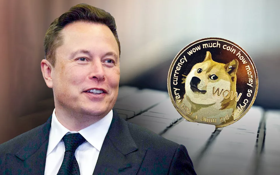 شعار عملة دوجكوين بجانب إيلون ماسك