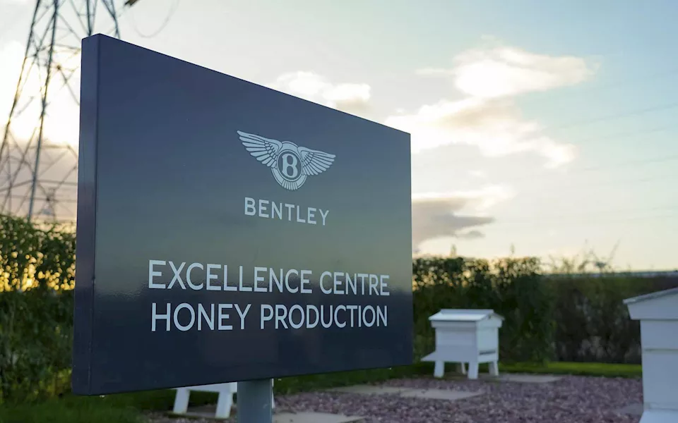 عسل نحل من بنتلي