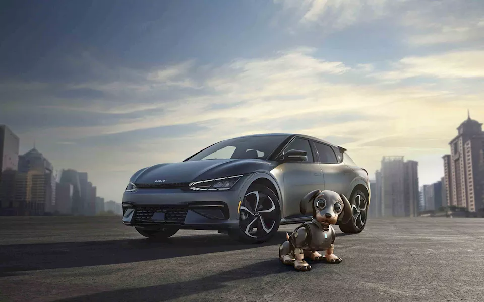 كيا تتبرع لحيوانات الملاجئ بـ 14 مليون جنيه 