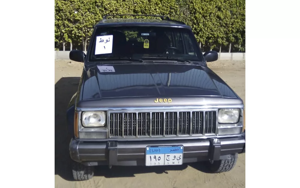 سيارات مزاد الهيئة العربية للتصنيع  (2)