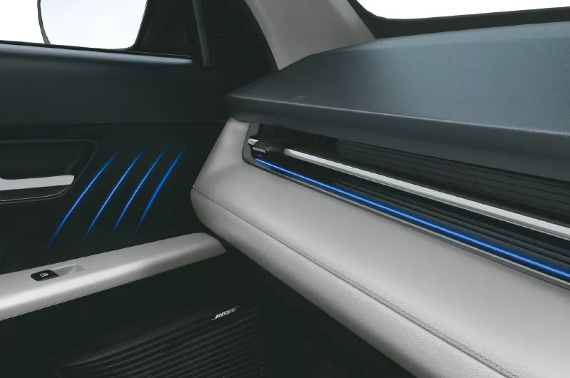 فيرنا الجديدة كلياً 