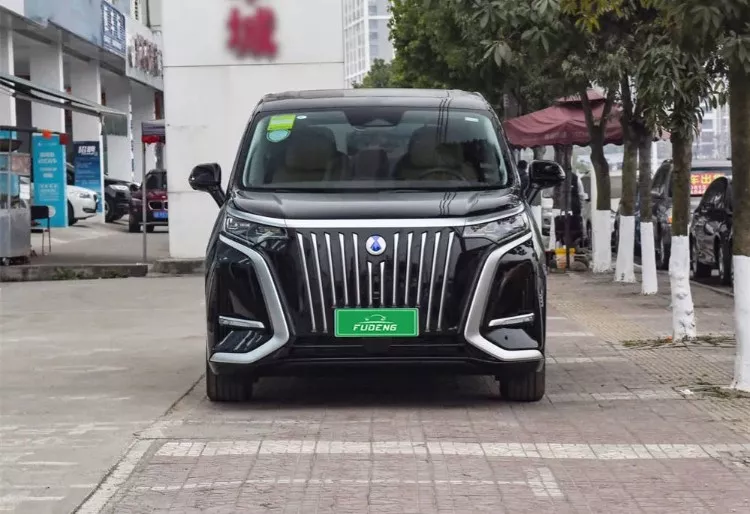 دينزا D9 الكهربائية الجديدة