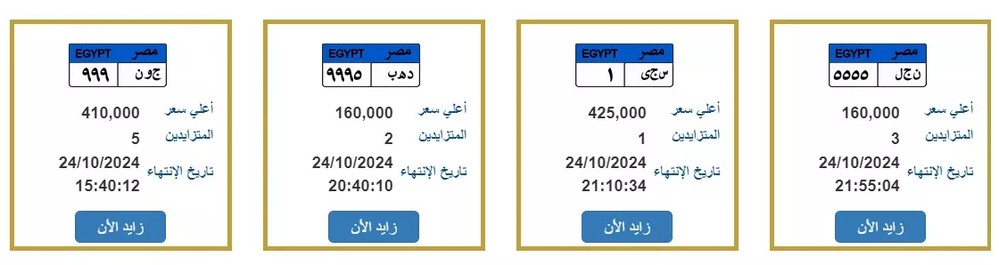 جانب من اللوحات المعروضة بالمزاد