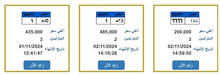 جانب من اللوحات المعروضة بالمزاد