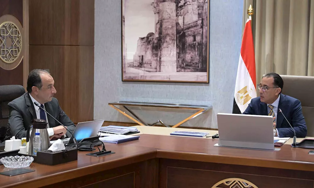 1 جانب من اجتماع رئيس الوزراء بوزير قطاع الأعمال