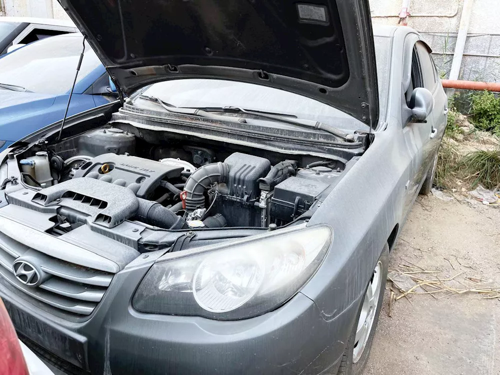 1 جانب من السيارات المعروضة بالمزاد