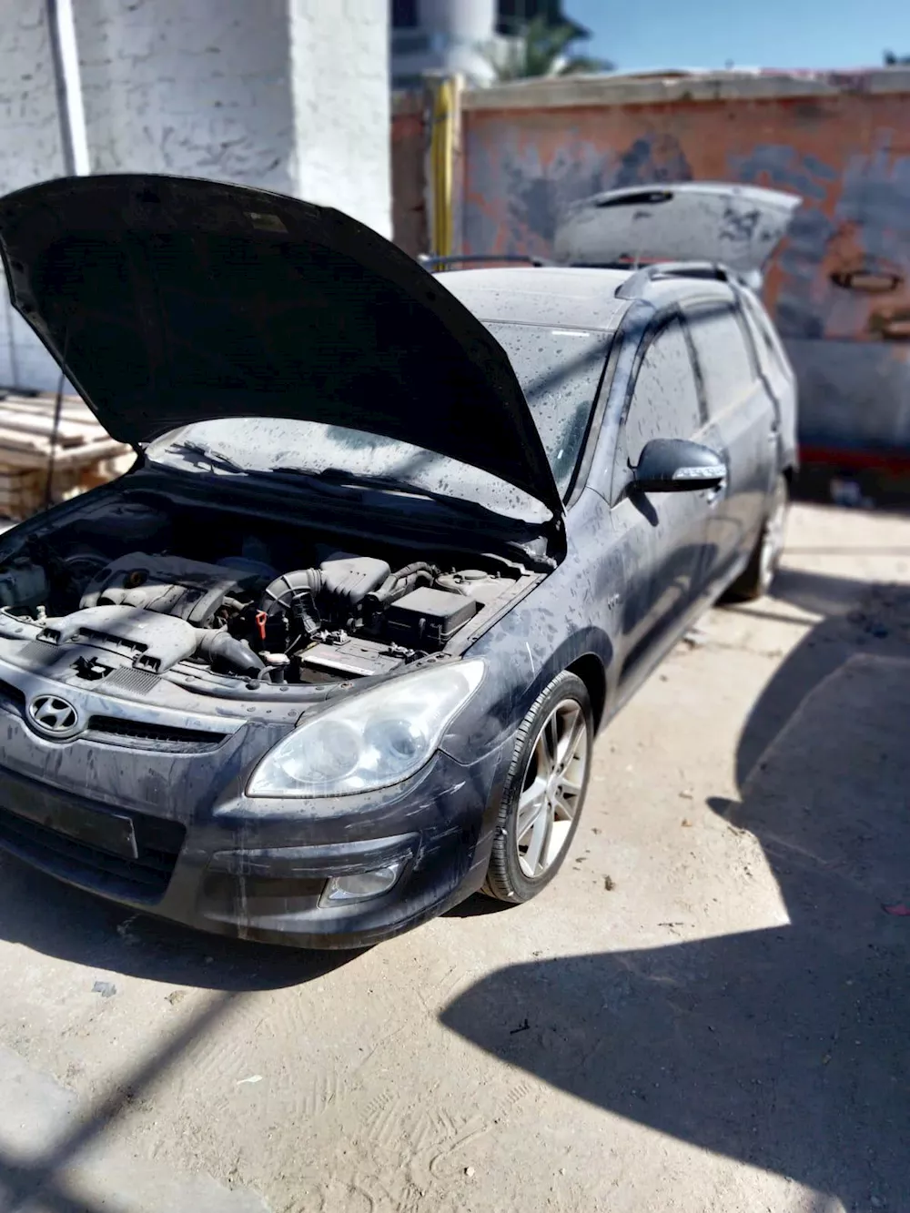 جانب من السيارات المعروضة بالمزاد