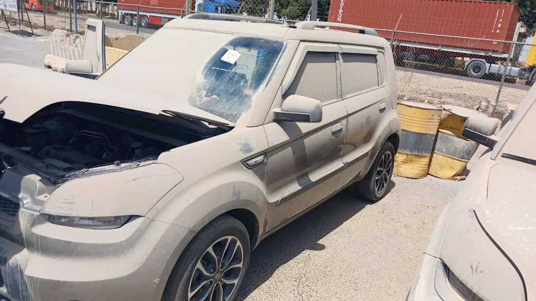 جانب من السيارات المطروحة للبيع 