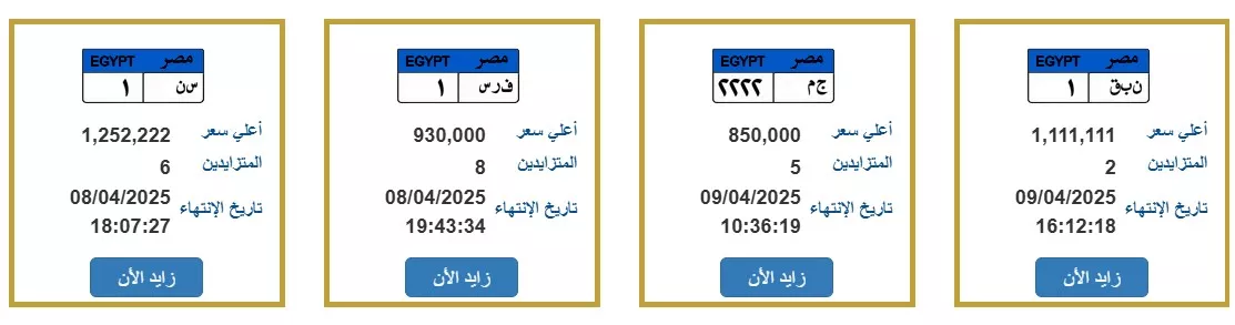 جانب من اللوحات المعروضة للبيع بالمزاد