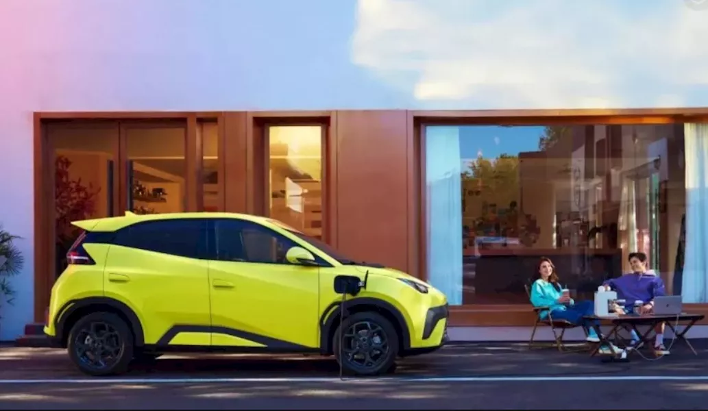 بي واي دي Dolphin Surf