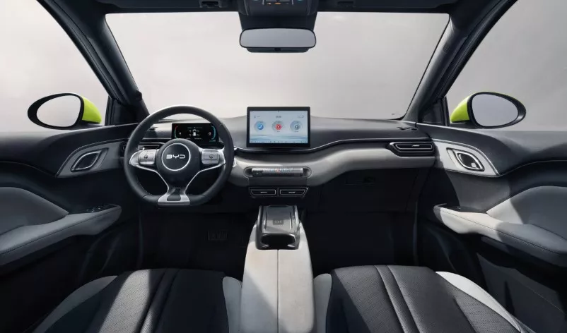  Dolphin Surf الجديدة