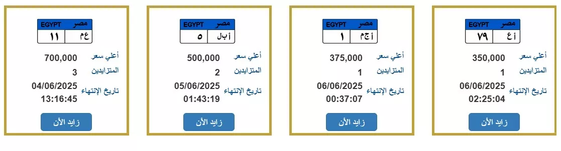 جانب من اللوحات المعروضة بالمزاد