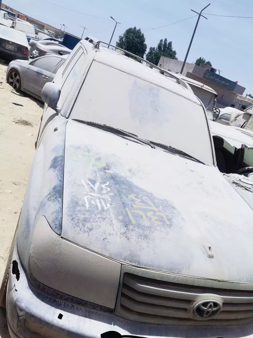 جانب من السيارات المعروضة بالمزاد