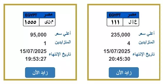 جانب من اللوحات المعروضة للبيع بالمزاد