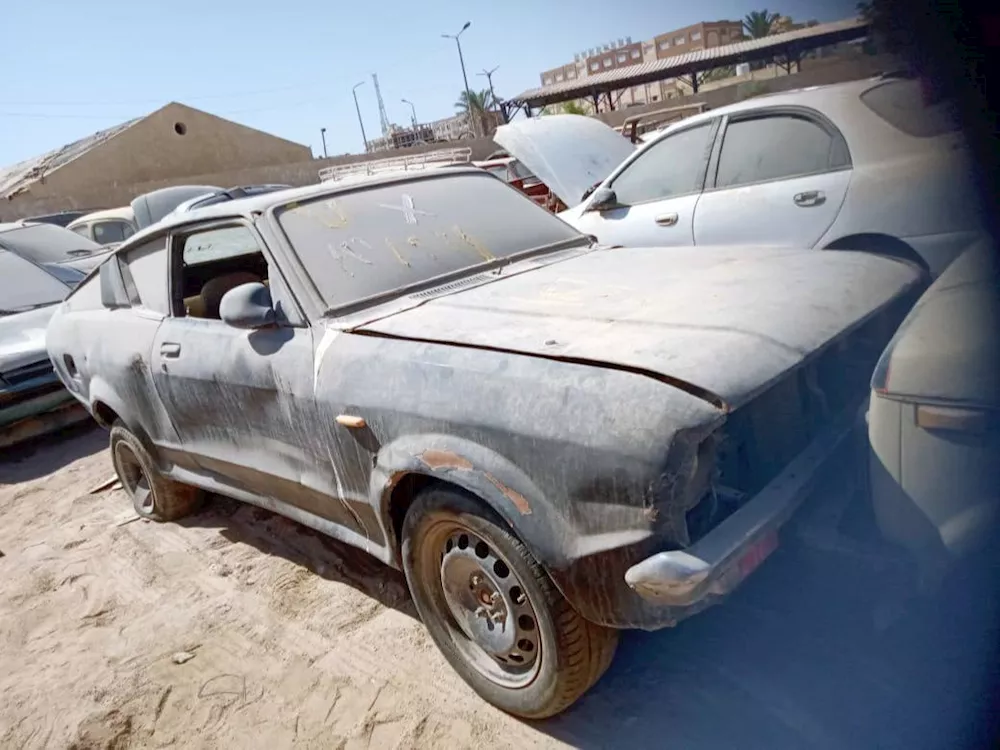 جانب من السيارات المعروضة بالمزاد