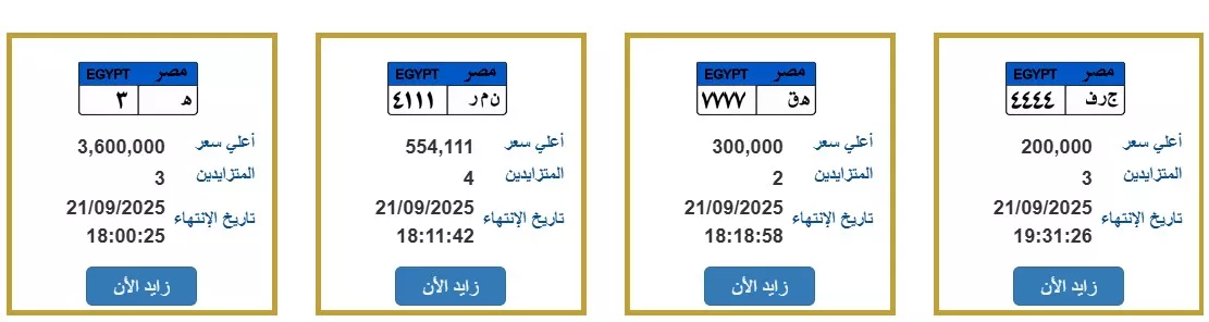 جانب من اللوحات المعروضة بالمزاد