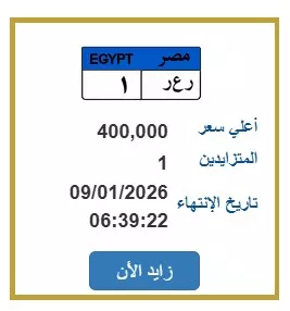 جانب من اللوحات المعروضة بالمزاد