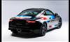 alpine-a110s-x-felipe-pantone (7)