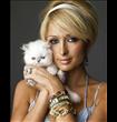 Paris Hilton