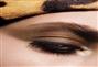 Dior makeup fall 2012 (19)