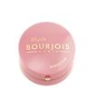 Bourjois Blush                                                                                                                                        