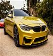 bmw-m4-coupe-concept-770x513                                                                                                                          