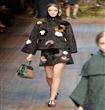 Dolce & Gabbana خريف 2014                                                                                                                             