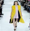 Dior خريف 2014 من                                                                                                                                     