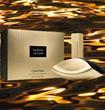 Calvin-Klein-Euphoria-Liquid-Gold-main