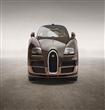 Rembrandt-bugatti-veyron                                                                                                                              