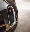 Rembrandt-bugatti-veyron                                                                                                                              