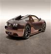 Bugatti-Veyron_Rembrandt_Bugatti_2014                                                                                                                 