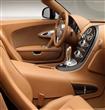 Bugatti-Veyron_Rembrandt_Bugatti_2014                                                                                                                 