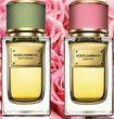 dolce & gabbana velvet perfume