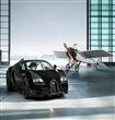 Bugatti-Veyron_Black_Bess_2014                                                                                                                        