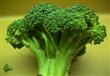 البروكلي