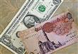 الدولار يواصل الثبات أمام الجنيه في البنوك
