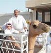 سعودى يوصل ابنه للمدرسة فى أول يوم على ظهر جمل
