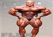 Mr. Olympia 2014                                                                                                                                      
