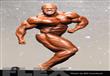 Mr. Olympia 2014                                                                                                                                      