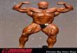 Mr. Olympia 2014                                                                                                                                      