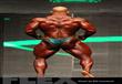 Mr. Olympia 2014                                                                                                                                      